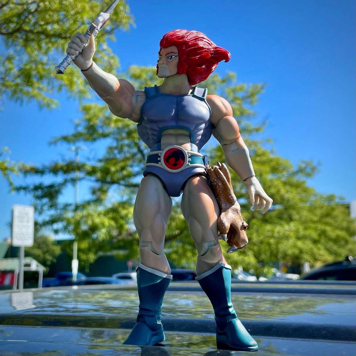 StryderWolfe's tweet photo. I took โHook Mountainโ Lion-O out in the sun and wow does he go from frozen blue to sunburnt red quick!! ๐๐๐ปโก๏ธโก๏ธโก๏ธ
#ThundercatsThursday
#Thundercats #toys #LionO #HookMountain #super7 #super7ultimates #80scartoons https://t.co/wddWx8yDyV