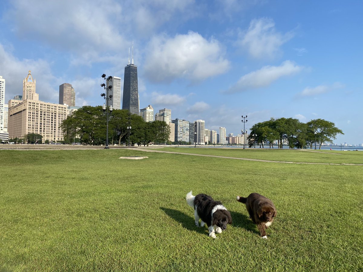 Jonathan Graham tweet media