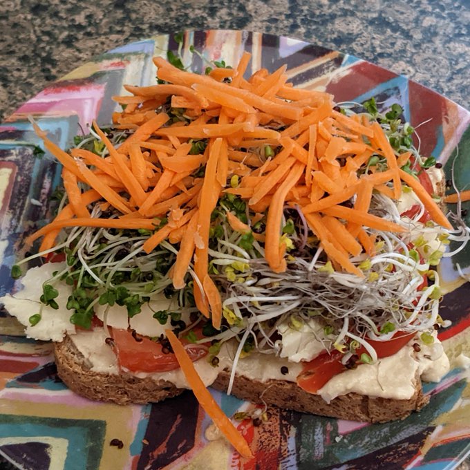 Veggie Sandwich