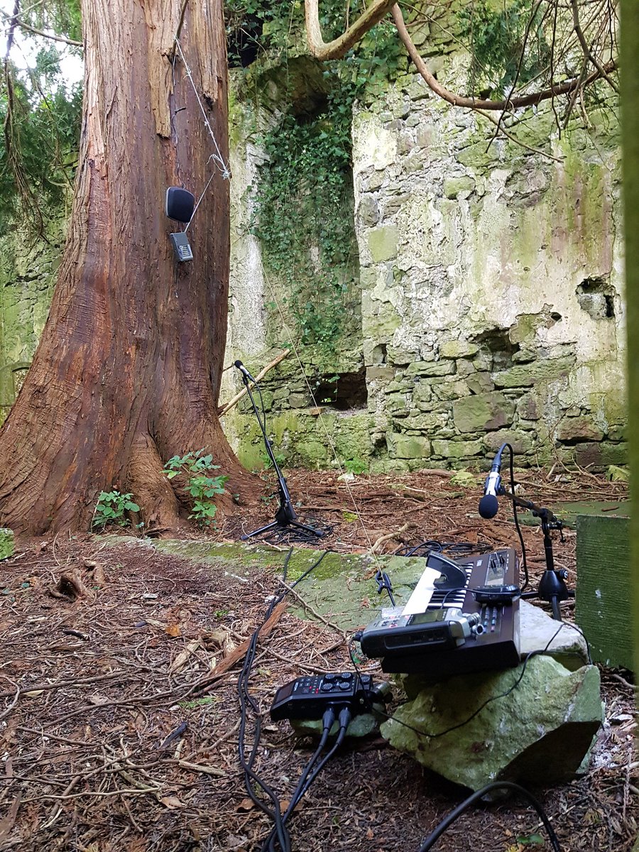 Matthew Laming tweet media