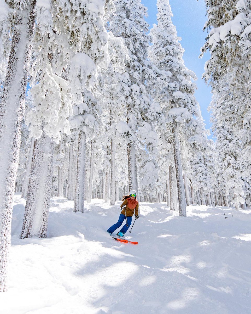 Season Passes are now on sale!

Make sure you purchase early to get the best price of the season, only available September 1 - 30. Head to skisantafe.com today, purchase your new 2022/23 Season Pass and start dreaming about winter ❄️🏂⛷
