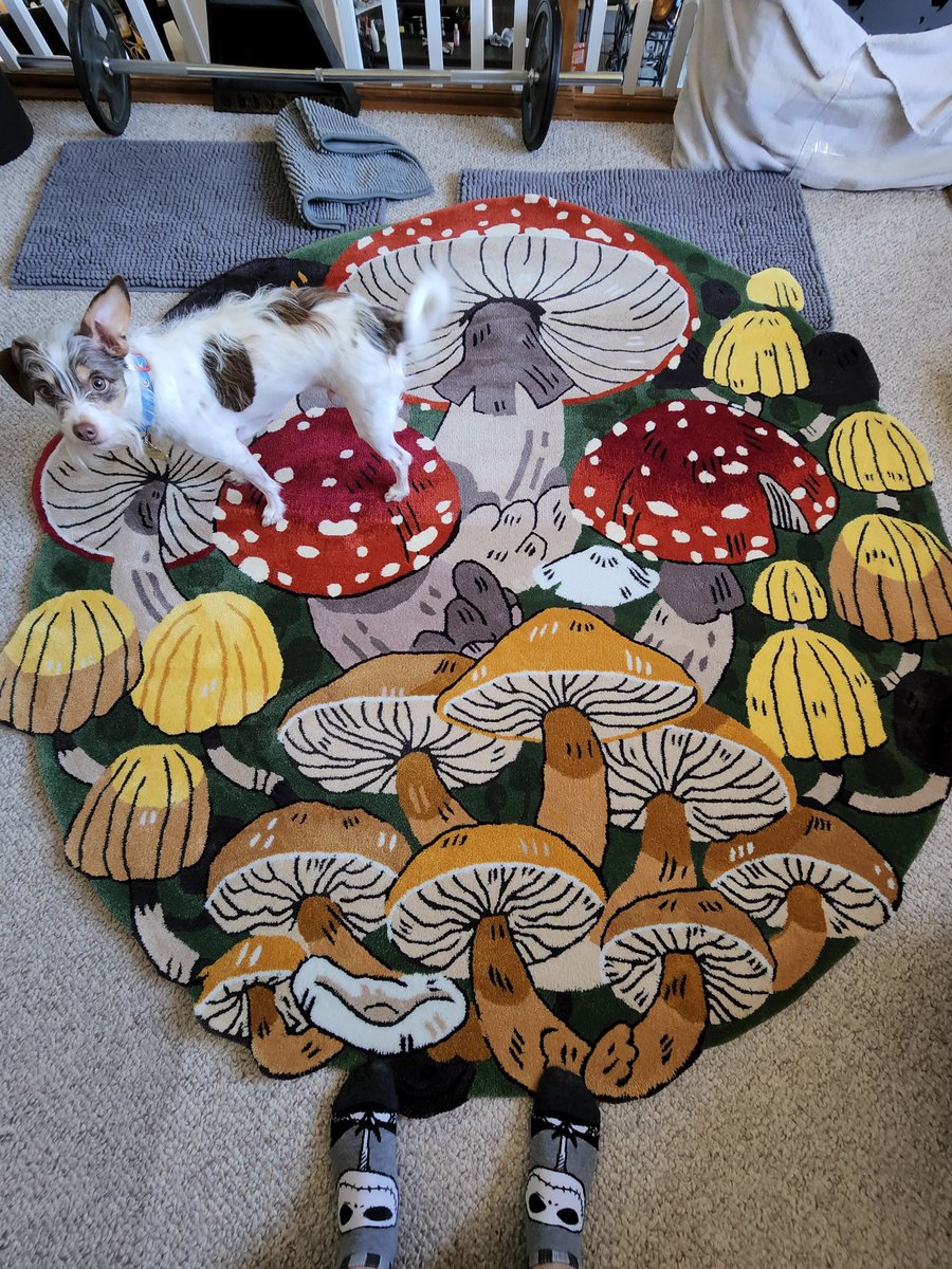 uuuhh_blair's tweet photo. My rug made by @morningwitchy is here!!! its so beautiful thank you!! 🍄💕 https://t.co/w6MwsSC5v6