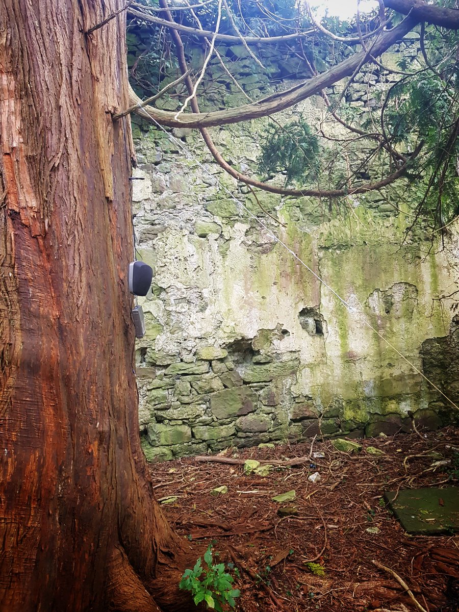 Matthew Laming tweet media