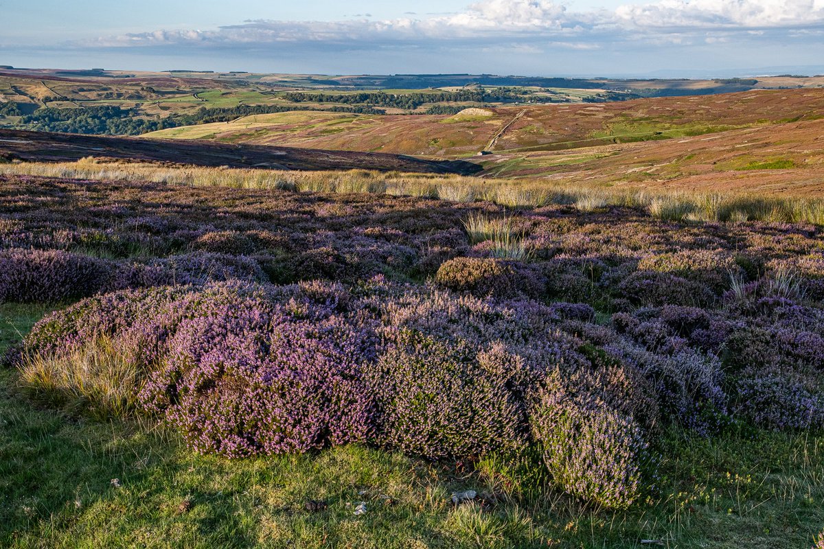 Looking over the stunning Yorkshire Dales