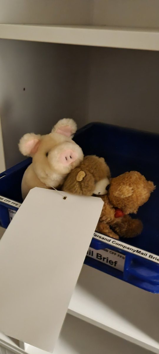 Bonsaiente_1's tweet photo. Das Plüsch Trio will bald wieder mit Lieblings Mensch Kuscheln :( https://t.co/P2pNFrZxqa