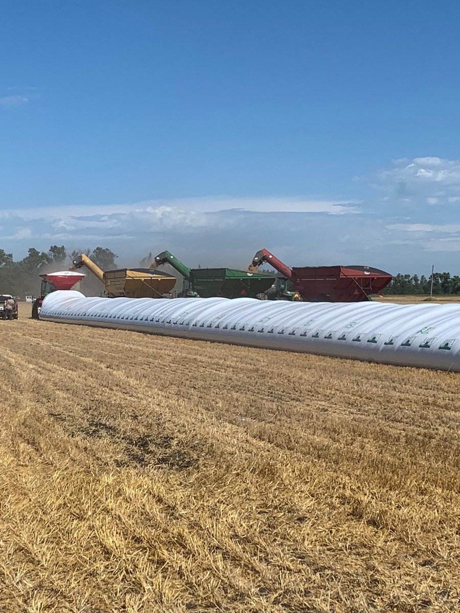 What the crew has called a Gang Bagging.
Sometimes you don't want to be first.