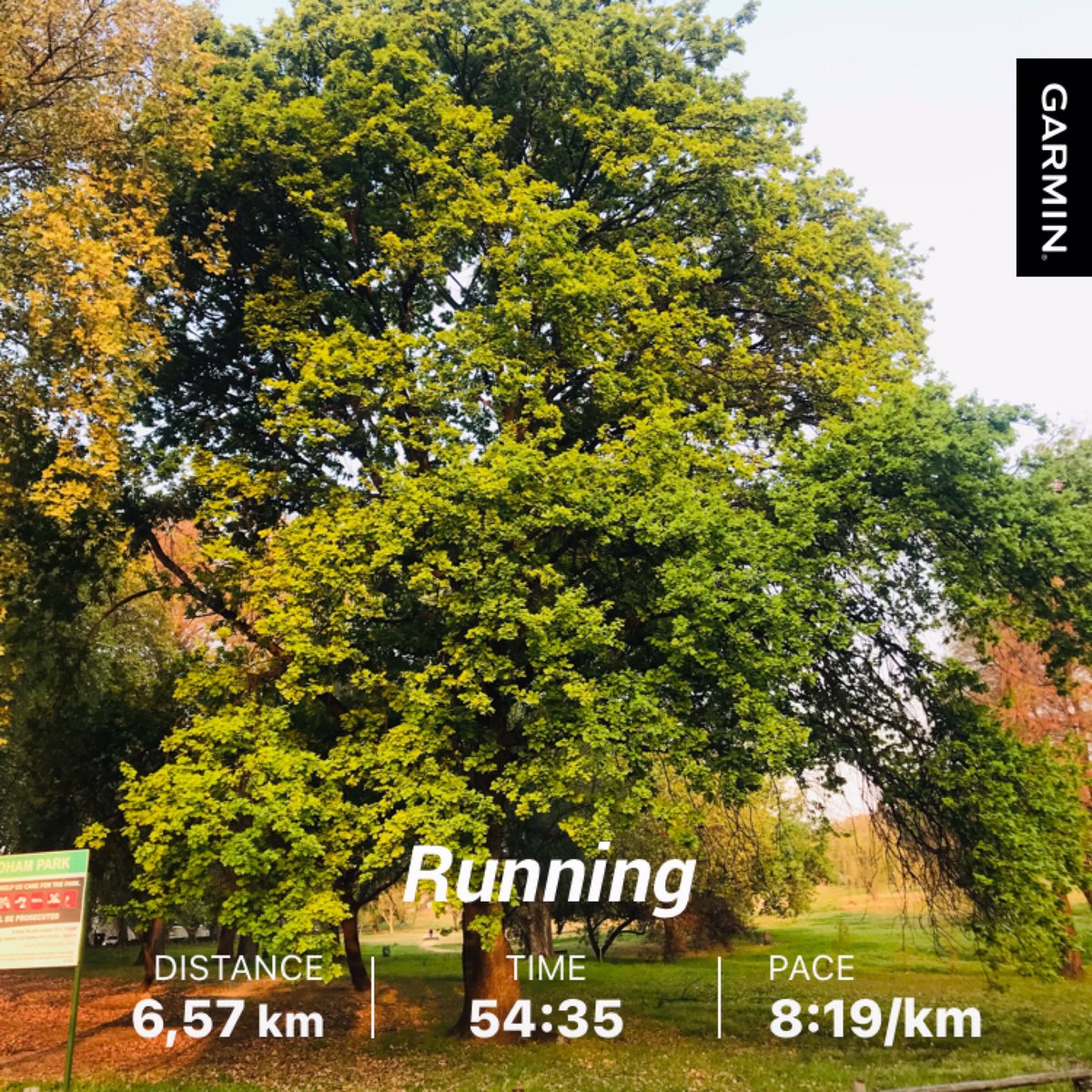 sma_fitness's tweet photo. A bad run is better than no run at all 

#RunningWithLulubel #runningwithtumisole #chasingconsistency #garmin #garminrun https://t.co/CF7Rh0KzU5