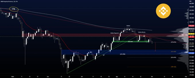 nftshalf's tweet photo. #BNBPERP - BNB/USDT e formação de cabeça e ombros.  - TradingView - https://t.co/gL5bZt8g7C