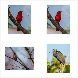 LowellMcnamara's tweet photo. https://t.co/iU30JLWEUV #photography #originalphotography #prints #photographyforsale #gifts #Giftideas #LookAgainPhotography #LookAgain Original photography by Daniel McNamara https://t.co/OCkmFOEFxS