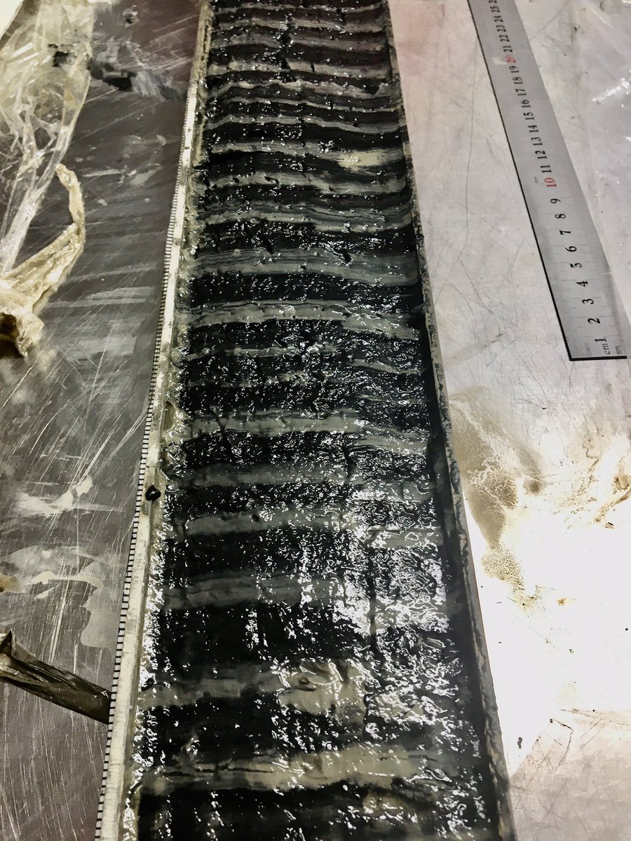 natselwood's tweet photo. A stunning #sedimentcore lamination from the #balticsea obtained this week. Now for the analysis…👀 https://t.co/JEPx7xKdyD