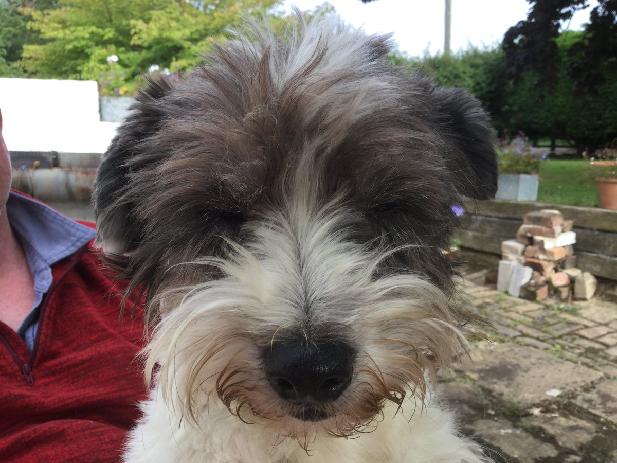 Jane Whittenshaw💙 tweet media