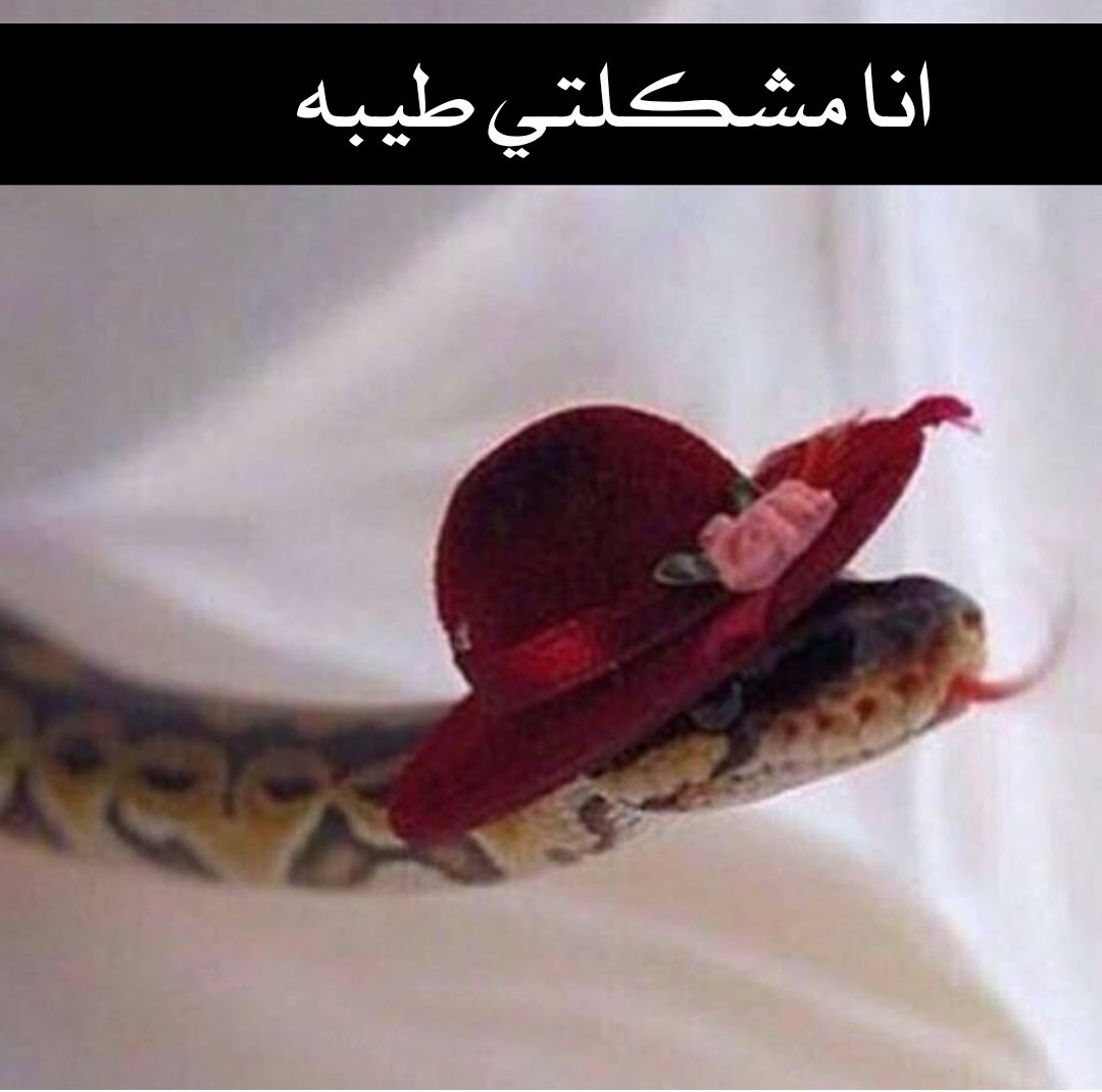 NaQatar123's tweet photo. @gorgeous4ew مشكلتها انها طيبة فعلا https://t.co/XqjxGoyU62