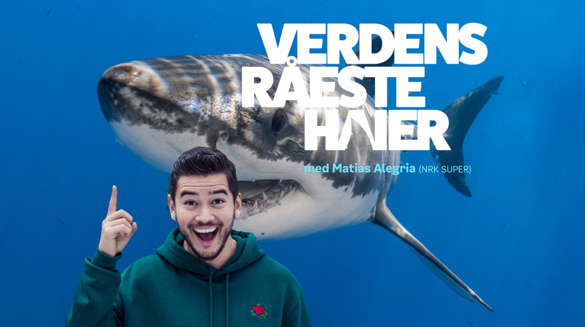 Hva skjer på biblioteket? Les vårt seneste nyhetsbrev her mailchi.mp/f93da956fb0d/n…

Foto: Kagge Forlag