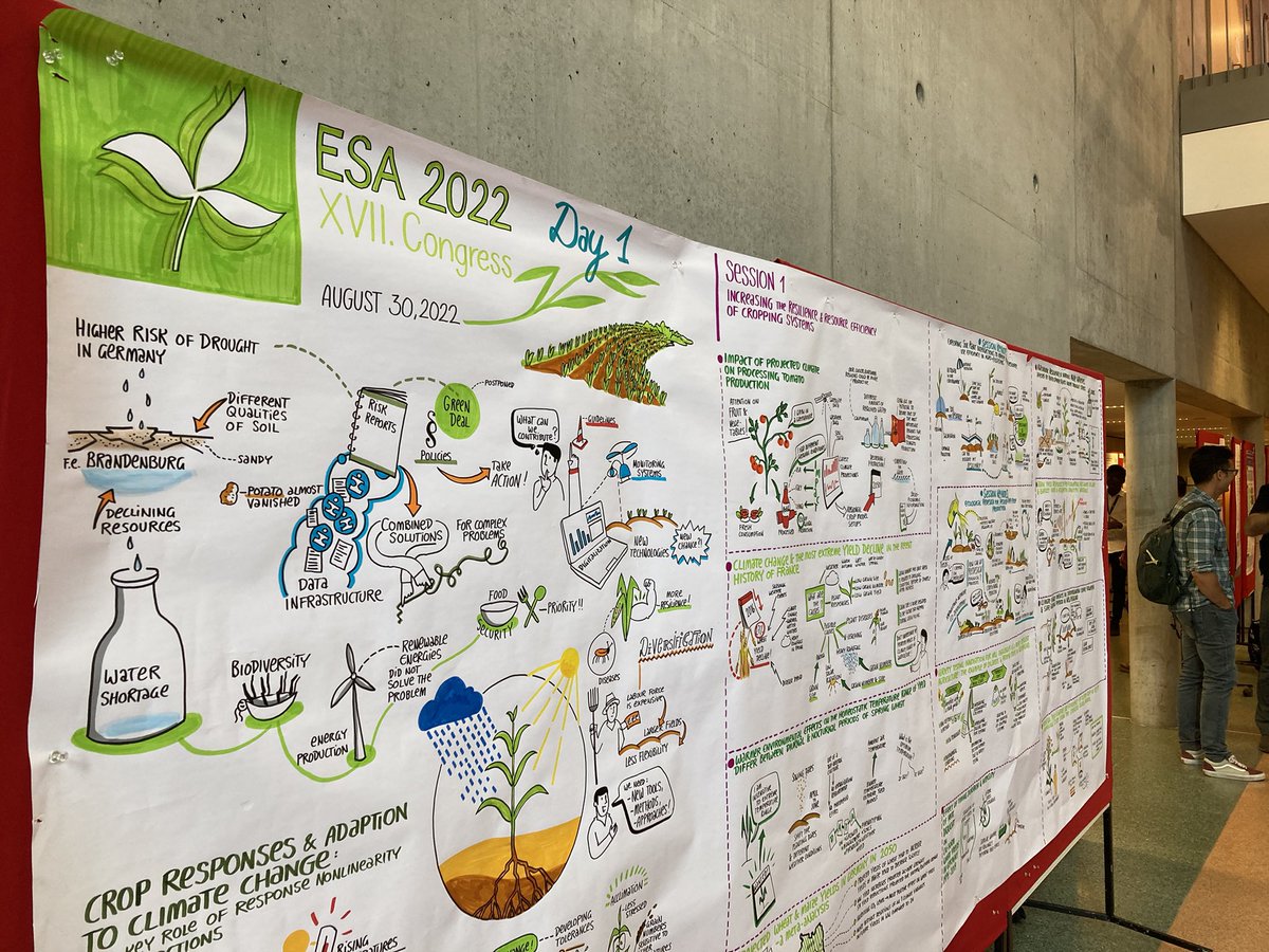 ToniKlemm's tweet photo. My favorite 2 posters at #ESA2022 #ESAgronomy2022 😀#graphicalrecording https://t.co/RuABcbY8bE