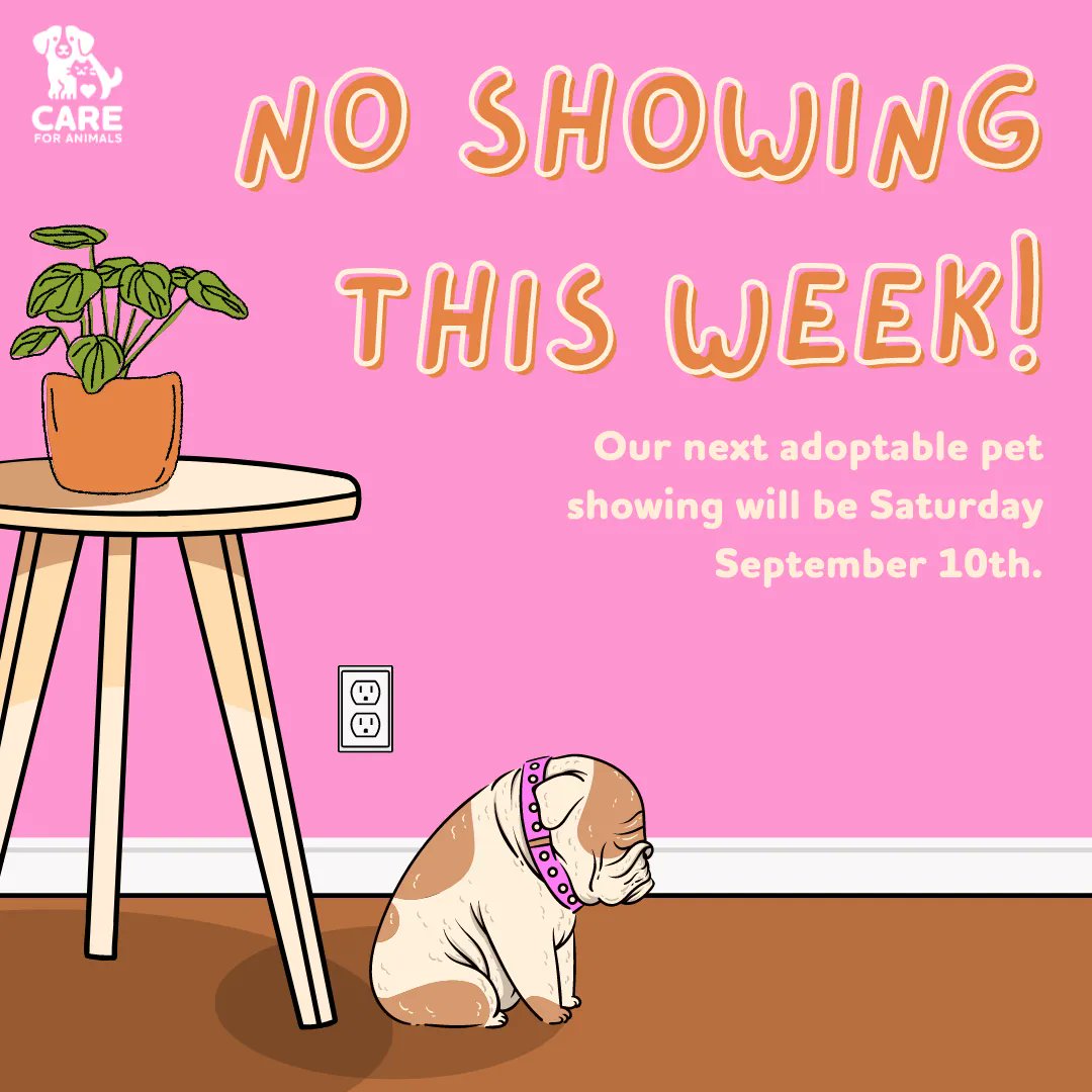 There will not be a showing this Saturday, and our office will be closed on Monday in observation of Labor Day. Enjoy the long weekend, everyone!