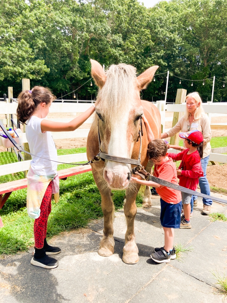 shineNYC's tweet photo. If you’re ever feeling stressed out we highly recommend a visit to @ctreeny! Thank you to Karen and everyone at CTREE for showing us the therapeutic power of horses 🐴❤️. ⁠
⁠
#shine #shinenyc #shinenewyork #horses https://t.co/s2ZywzIxEt