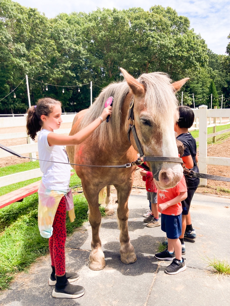 shineNYC's tweet photo. If you’re ever feeling stressed out we highly recommend a visit to @ctreeny! Thank you to Karen and everyone at CTREE for showing us the therapeutic power of horses 🐴❤️. ⁠
⁠
#shine #shinenyc #shinenewyork #horses https://t.co/s2ZywzIxEt