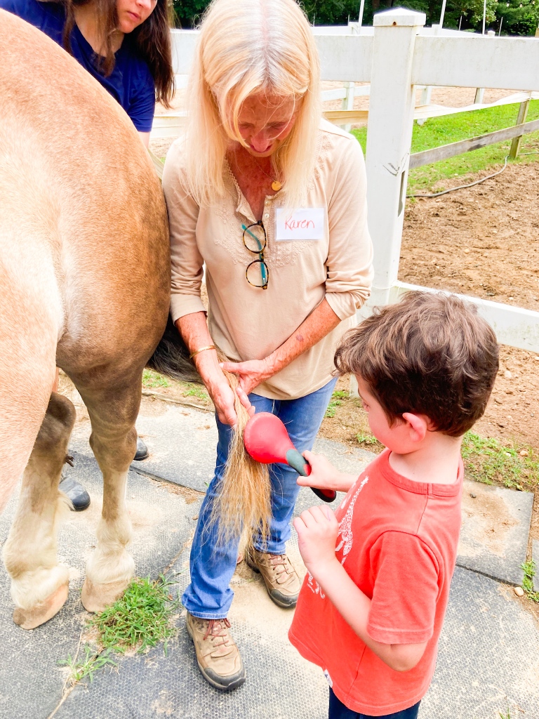 shineNYC's tweet photo. If you’re ever feeling stressed out we highly recommend a visit to @ctreeny! Thank you to Karen and everyone at CTREE for showing us the therapeutic power of horses 🐴❤️. ⁠
⁠
#shine #shinenyc #shinenewyork #horses https://t.co/s2ZywzIxEt