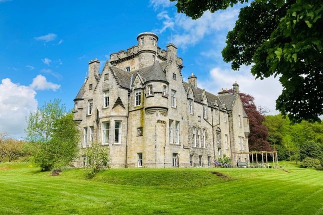 Sarah J Biggs tweet media