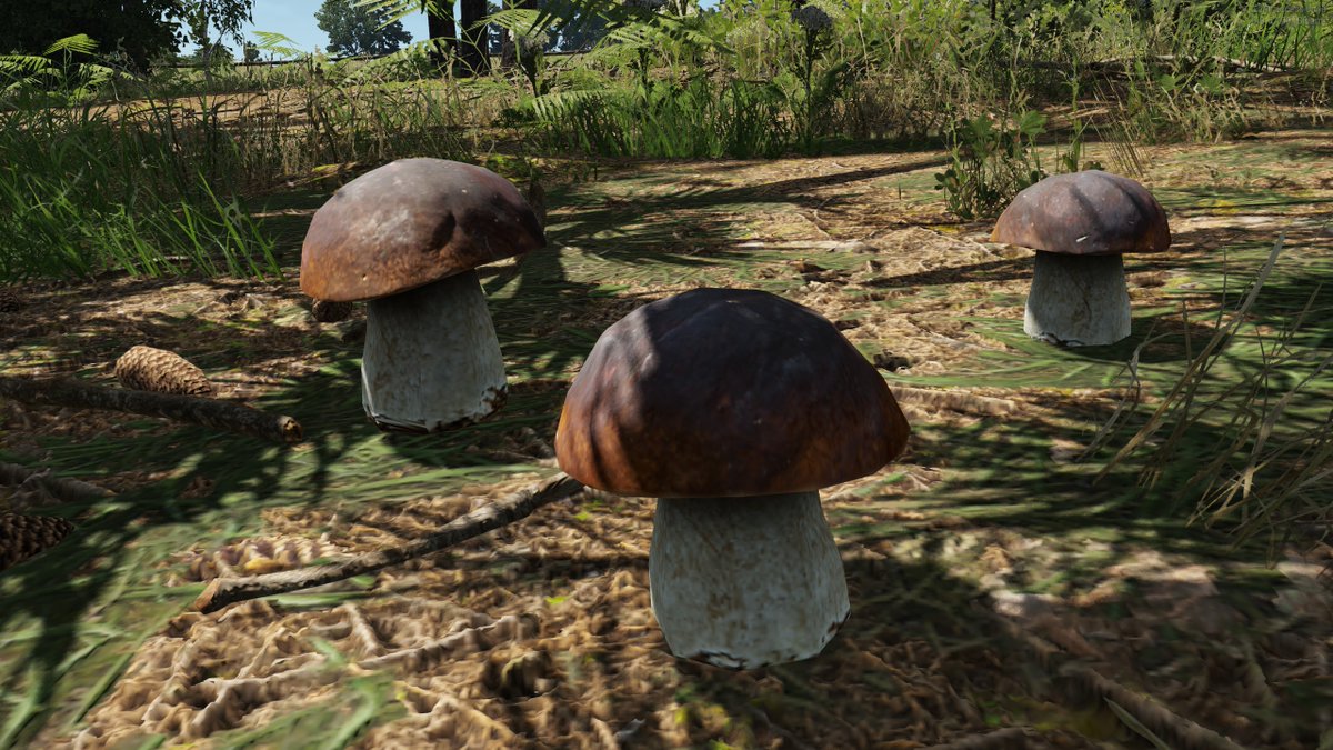 hypertexthero's tweet photo. #ArmaReforger user-made missions now at https://t.co/knekakqlxU #WalkingSimulator #Orienteering #EarlyAccessPlay #Mushrooms https://t.co/EnZ8z7ncaH