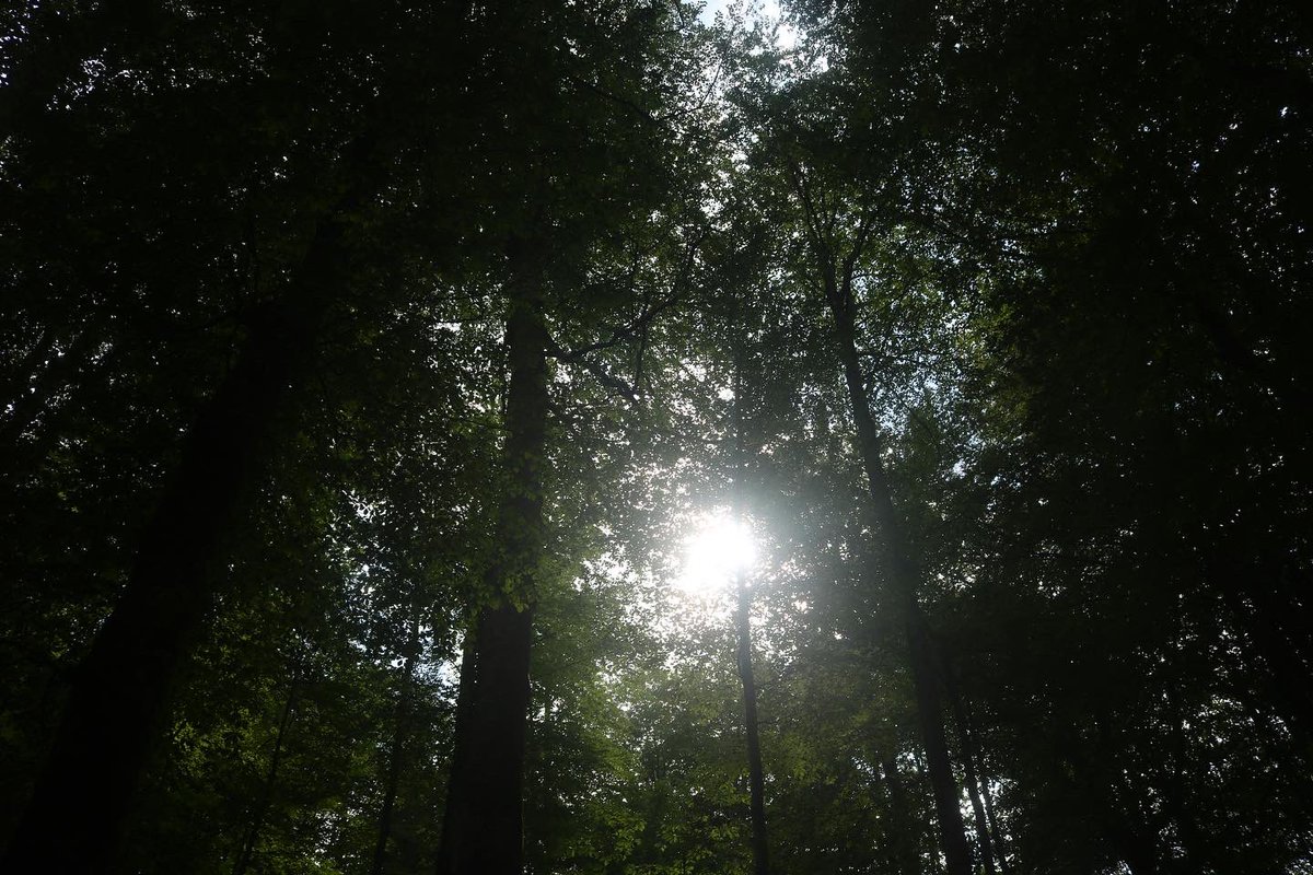 _larrythomas24's tweet image. ~ To my Dreamers ~
“The world is an open dream where fantasies have no price” ~Dream On~
#BecoME