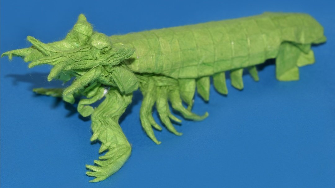 A few years ago I got obsessed with mantis shrimp and wanted to make an origami model of one.
The structure of the crease pattern (the rough layout, anyway) came to me in a dream.
I woke up at 3 am, started drawing in my sketchbook and by sunrise I had the pattern ready. 😵‍💫