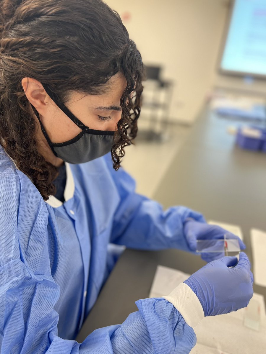 Starting hematology lab strong by making slides today!  

How many slides does it take YOU to make a “perfect” slide? 🩸 🥼 

#IAmASCLS  #Lab4Life #Hematology #MLS