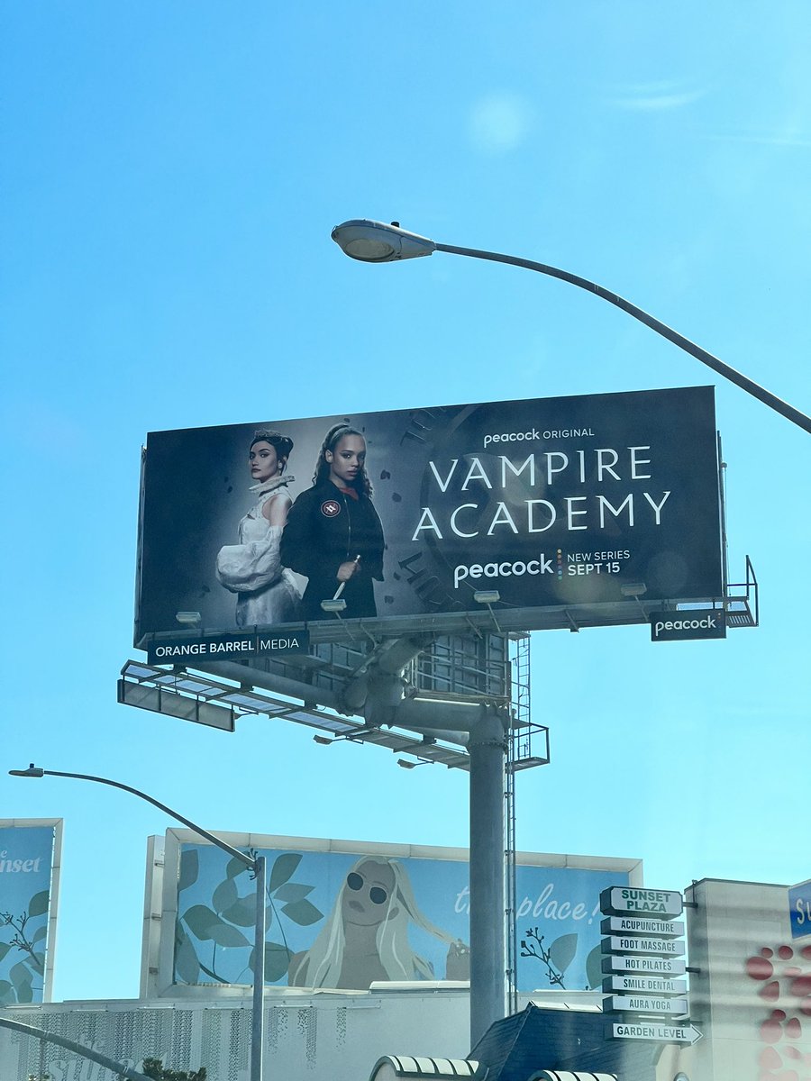 VAWriters's tweet photo. #VampireAcademy on Sunset Boulevard! September 15th can’t come soon enough! https://t.co/JK9eKoEzmb