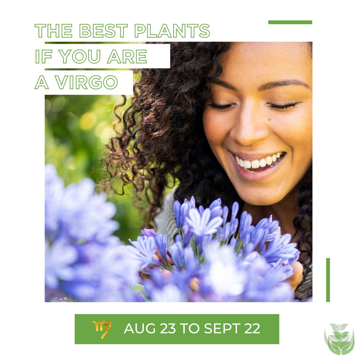 nugrowthbio's tweet photo. Virgos ♍ born between August 23 and September 22 are said to benefit from some plants.  If you are a Virgo, do you have any of these plants in your home or garden? If you enjoyed this post, please leave a comment and share it with #Virgo friends. https://t.co/BJ306pqQZt
