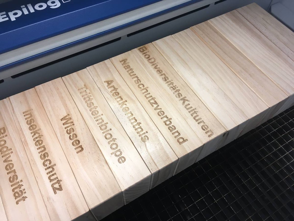 biodivkultur's tweet photo. Letzte Vorbereitungen für unseren Stand auf der #Umweltbörse am Samstag in #Darmstadt: Lasercuttern im #Lab3 🔥🪵 Wie lange kann man das Biodiversitäts-Spiel spielen, bis der Kipppunkt erreicht ist? #Biodiversität https://t.co/5ybQmLNK9a https://t.co/bxIrfigRd8