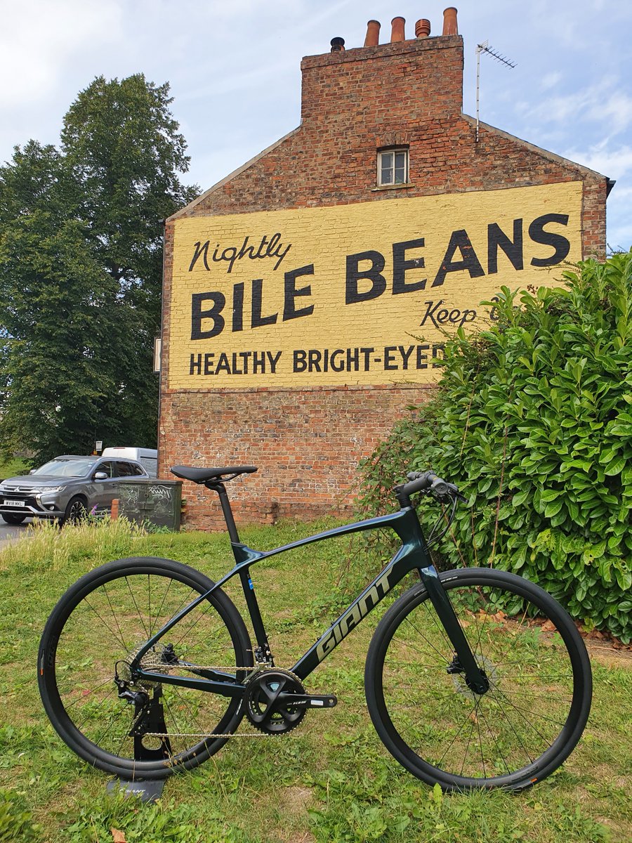 Giant York tweet media