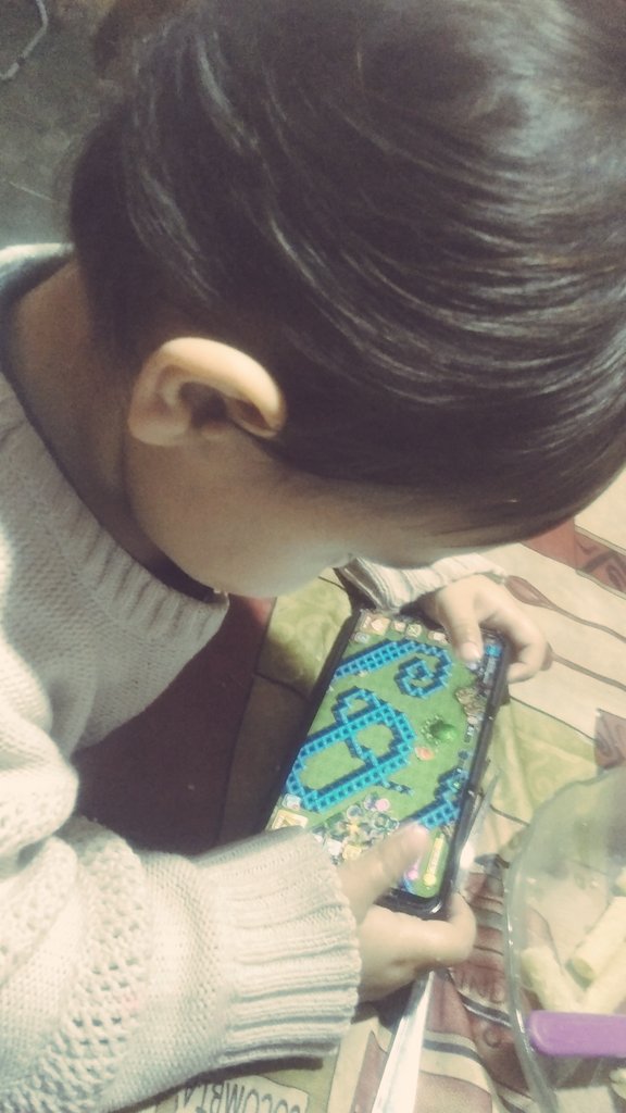 Bulma ID tweet media