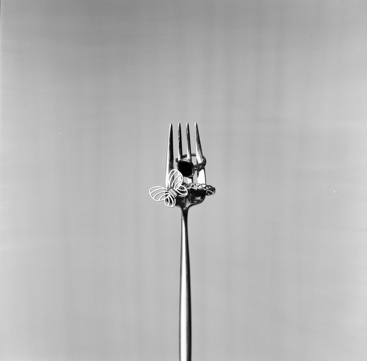 Goldstories_'s tweet image. Don’t define your world in black and white; there is so much more hiding among the grays.

 #blackandwhitephotography 

goldstoriesjewelry.com