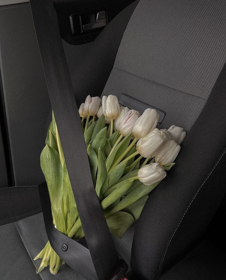 liviuuh's tweet photo. must protect the flowers https://t.co/FRADBPMalT