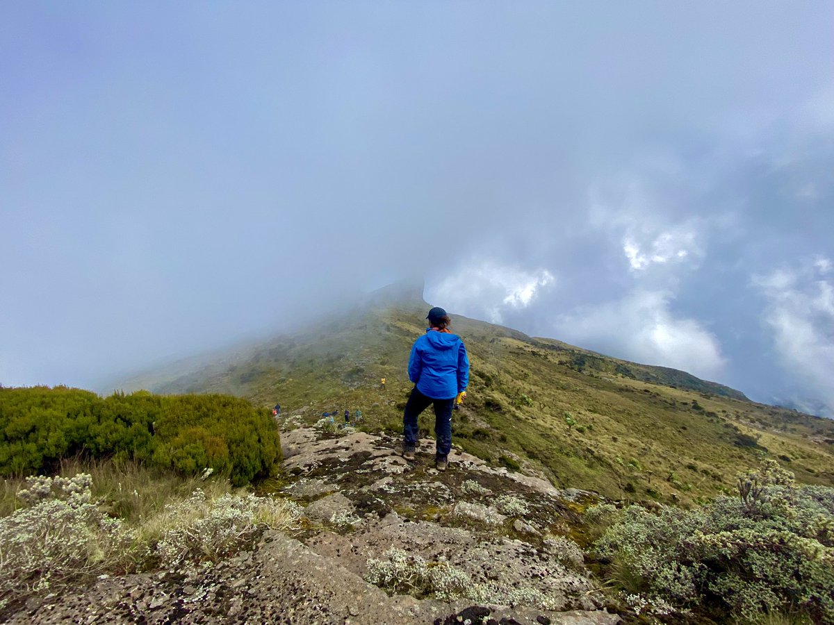 outdoorerke's tweet photo. You can’t wait until the weather is good enough to hit the trail—it never will be! Get out of your comfort zone and jump straight into the journey towards your goals.
Have you checked out our #high90 program for advanced hikers? We think you should. Tap #linkinbio and #hikeon! https://t.co/lCXLfsFKhG