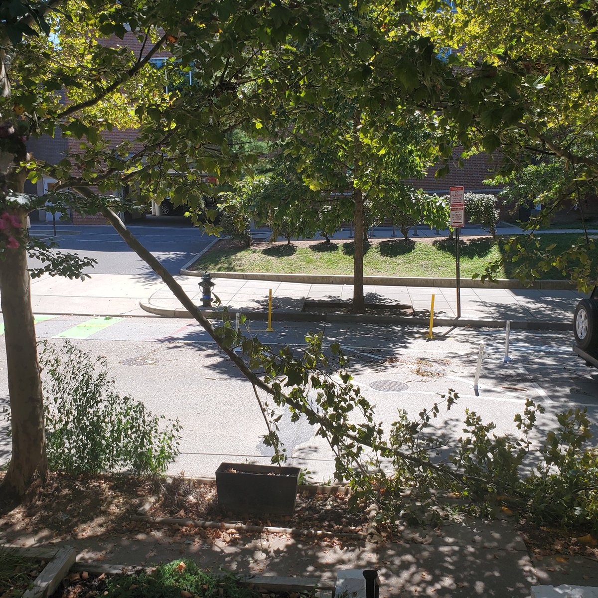 Brandenthechef's tweet photo. @311DCgov hello! Looks like because of new parking/bike lanes large truck brought down part of a tree. 751 Kenyon St nw . https://t.co/aYX9oVOfHw