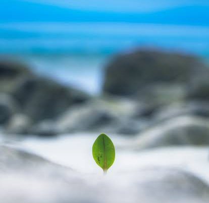 We must accept finite disappointment, but never lose infinite hope🌱
#delaycafexams