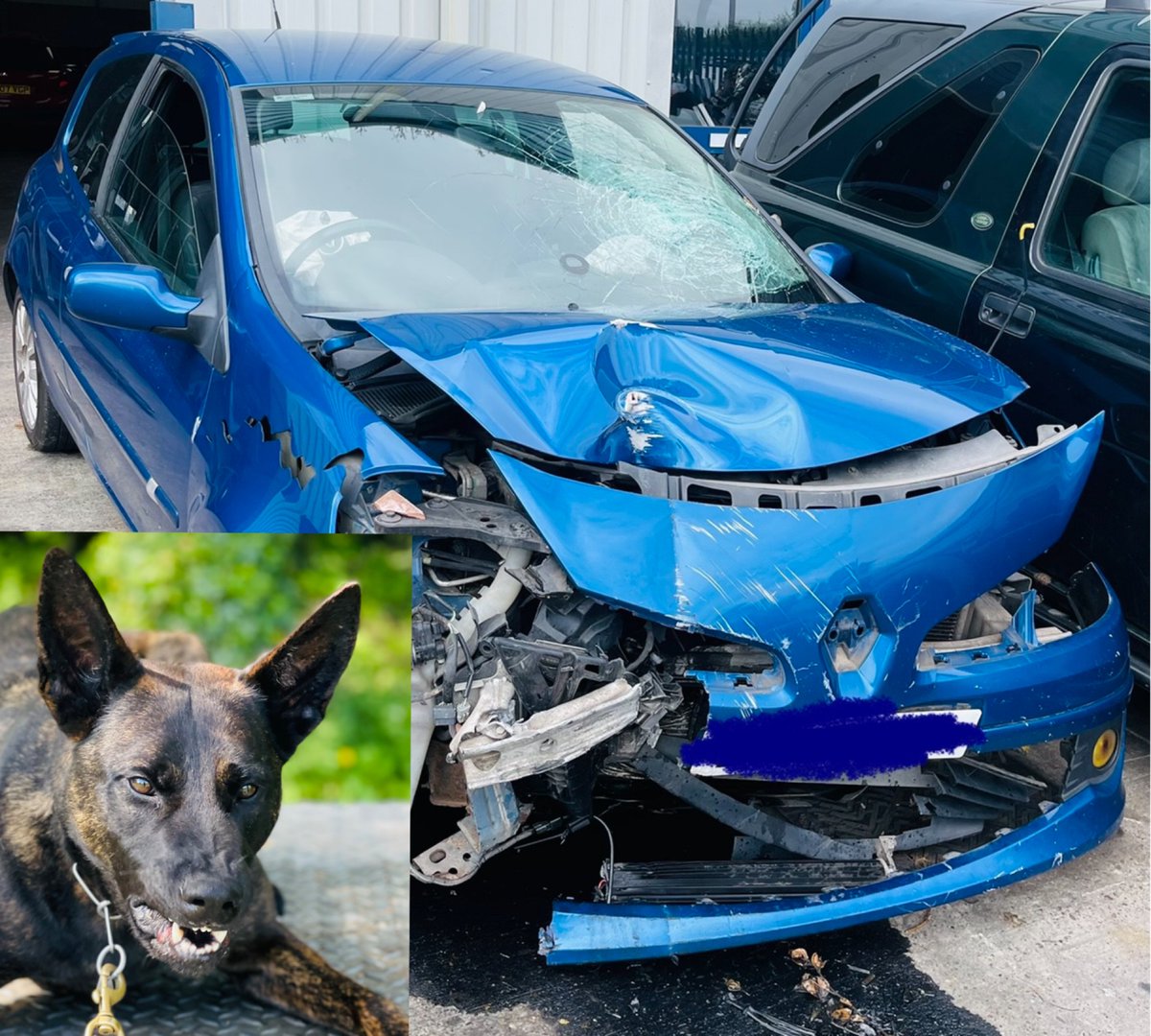 StaffsDogs's tweet photo. Following a lengthy pursuit in @SStaffsPolice #Essington this vehicle crashed. Two occupants were detained and one fled the scene. Enquires are ongoing in relation to the outstanding suspect. Officers are investigating several offences. #Shift5Dogs #PDVixen ๐พ https://t.co/eAIUUbyZNT