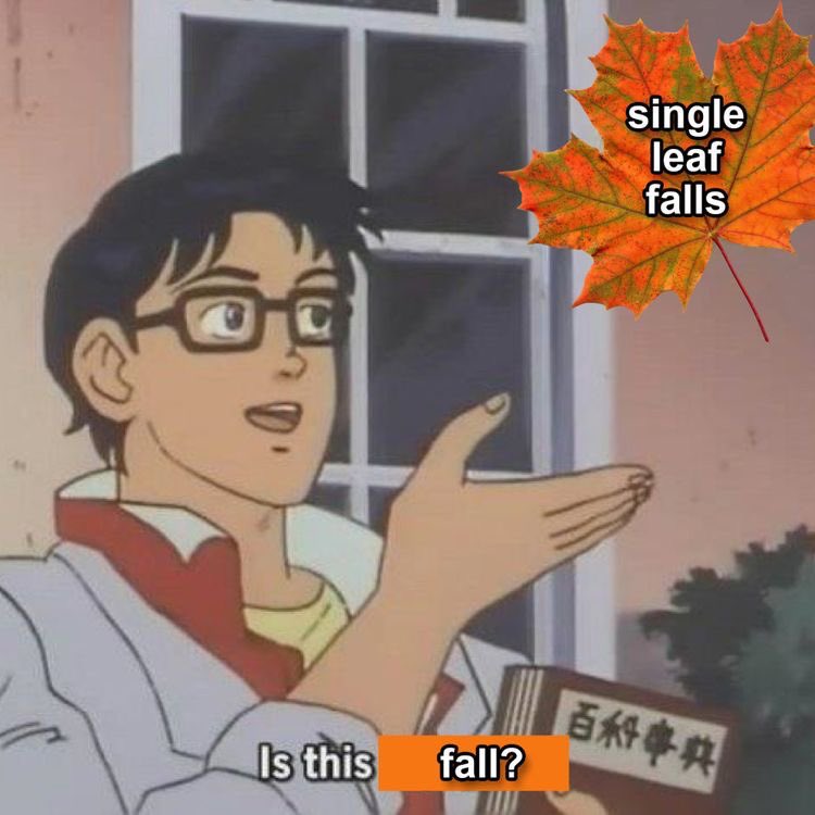 AlamarCosmetics's tweet photo. Nobody:
Me on September 1st https://t.co/P9zFR2Tfyg