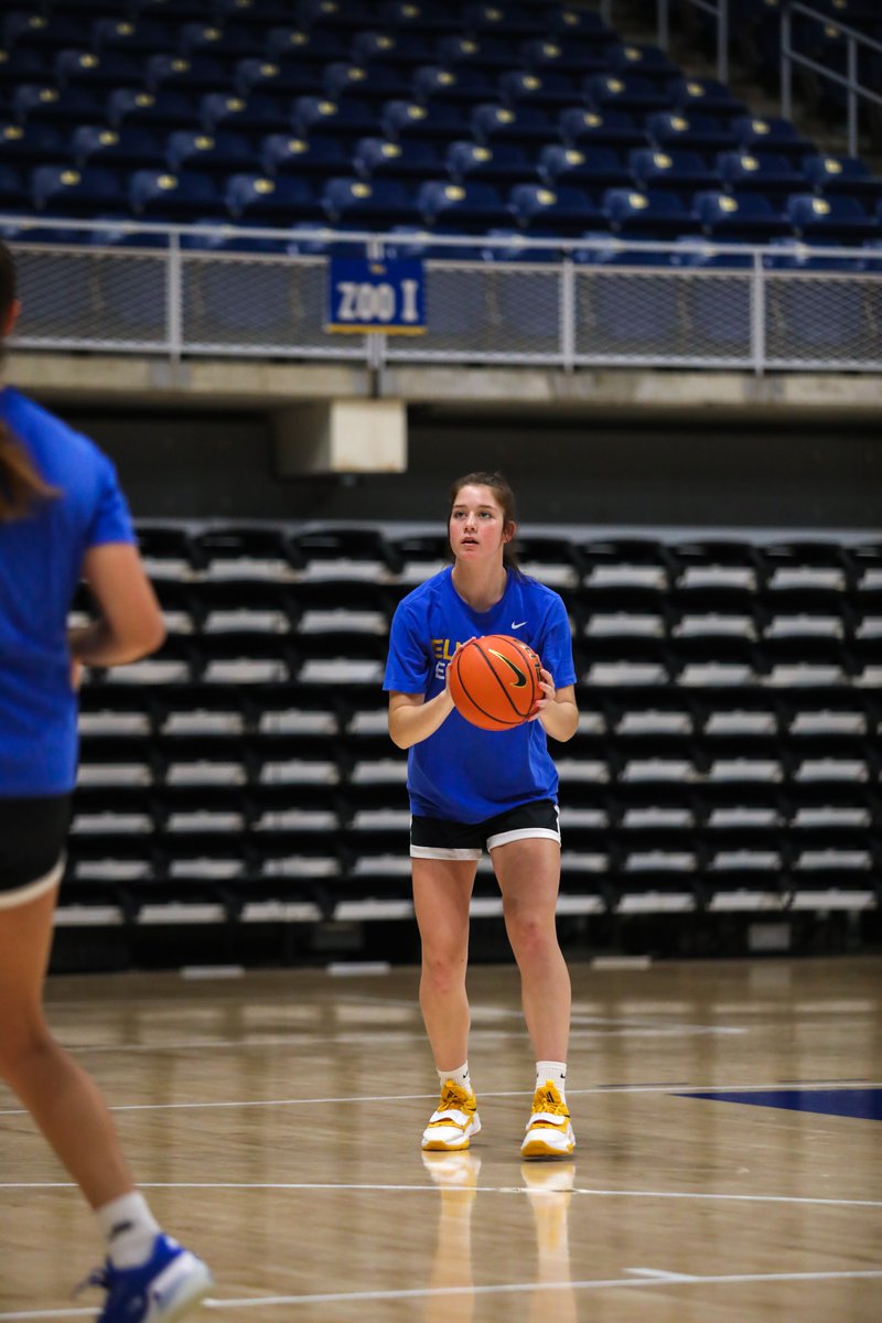 Pitt Basketball tweet media