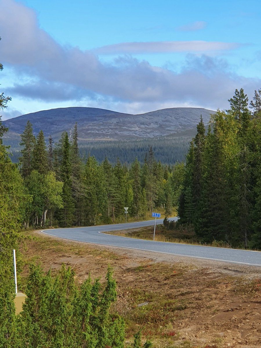 Robert Björk (@robertgbjork) on Twitter photo A good field week with <a href="/ColeBrachmann/">Cole Brachmann</a> visiting new place and learning new thing. First stop was close to Pallastunturi which means "Pallas a mountain in Lapland", and then passning through Lovikka bringing back memories from my childhood🤣. A good field week with <a href="/ColeBrachmann/">Cole Brachmann</a> visiting new place and learning new thing. First stop was close to Pallastunturi which means "Pallas a mountain in Lapland", and then passning through Lovikka bringing back memories from my childhood🤣.