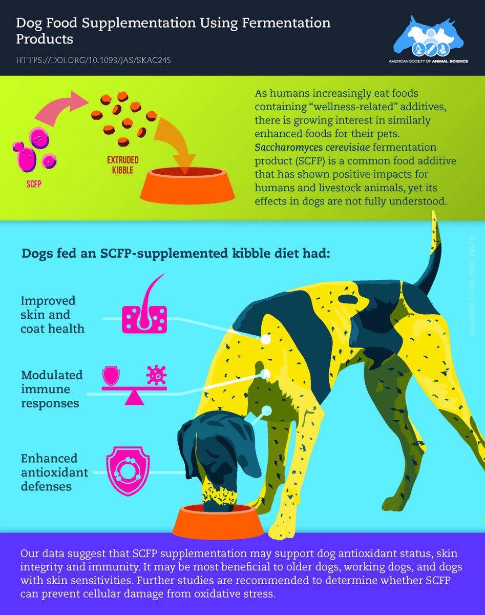 Kelly Swanson (@petnutritiondoc) on Twitter photo Our recent collaboration between <a href="/UofIllinois/">University of Illinois</a>, <a href="/ACESIllinois/">College of ACES</a>, <a href="/Cargill/">Cargill</a>, and <a href="/bluebuffalo/">blue buffalo</a> tested the effects of a Saccharomyces cerevisiae fermentation product in dogs, showing benefits to skin and coat health, immune response, and antioxidant defense.
academic.oup.com/jas/article/10… Our recent collaboration between <a href="/UofIllinois/">University of Illinois</a>, <a href="/ACESIllinois/">College of ACES</a>, <a href="/Cargill/">Cargill</a>, and <a href="/bluebuffalo/">blue buffalo</a> tested the effects of a Saccharomyces cerevisiae fermentation product in dogs, showing benefits to skin and coat health, immune response, and antioxidant defense.
academic.oup.com/jas/article/10…
