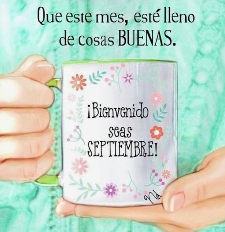 RebolloCarre tweet picture