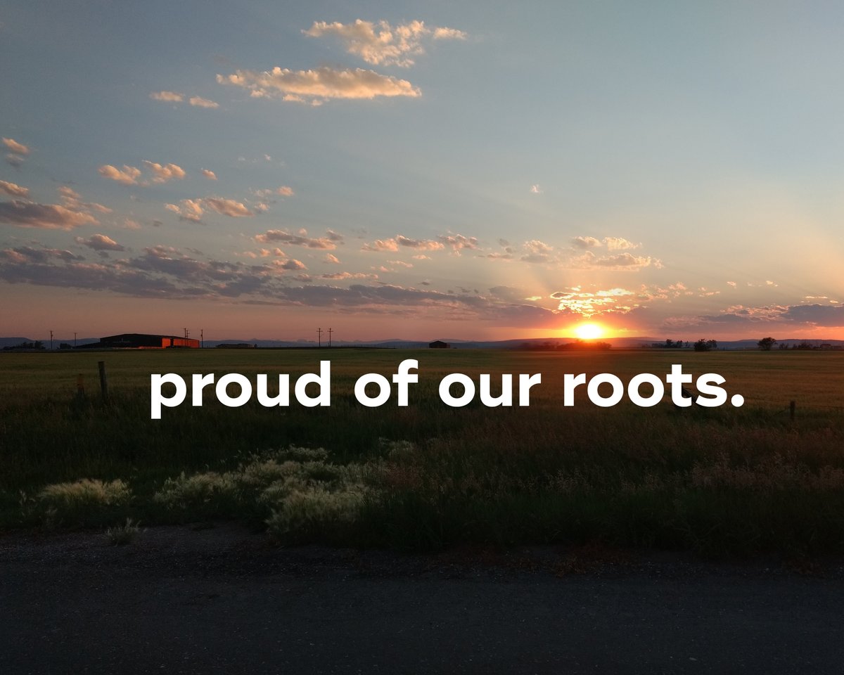 Sugarbud is proud to be an Albertan producer – alongside so many other incredible LP’s who are constantly changing the shape of the legal industry. Happy Alberta day everyone!
#sugarbud #craftgrowers #abgrown #albertaday