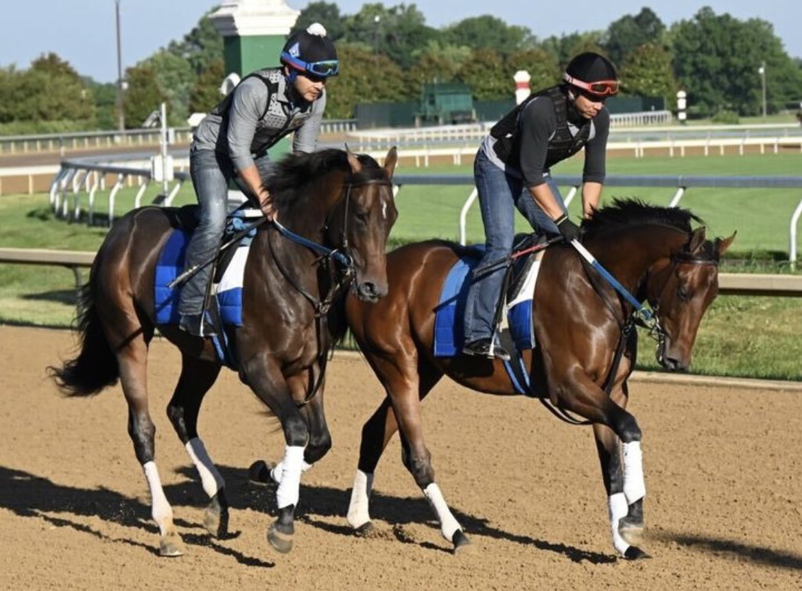 SarahHorsegirl's tweet photo. Phantom Ride Update
Phantom Ride is scheduled to breeze tomorrow. He continues to do well and is getting closer to being ready for his debut race which likely will come this month. #CandyRideColt #PhantomRide #MyRacehorse https://t.co/2u4fPCeCW9