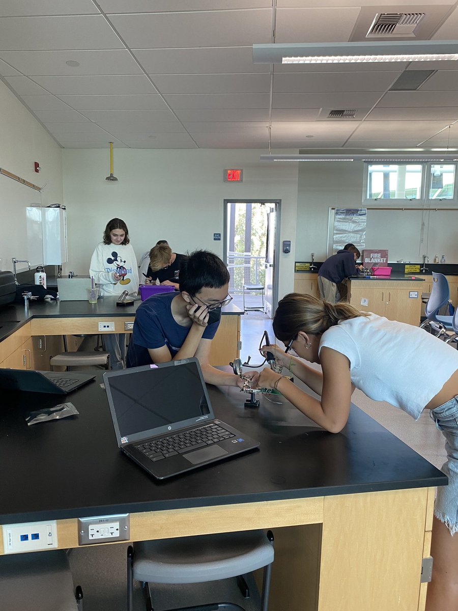SMLMS_Principal's tweet photo. Developing 21st Century Learning Skills through our Project Lead the Way Academy! @SamohiPrincipal @SMMUSD @devonsmith67 https://t.co/rb27lfMfLR