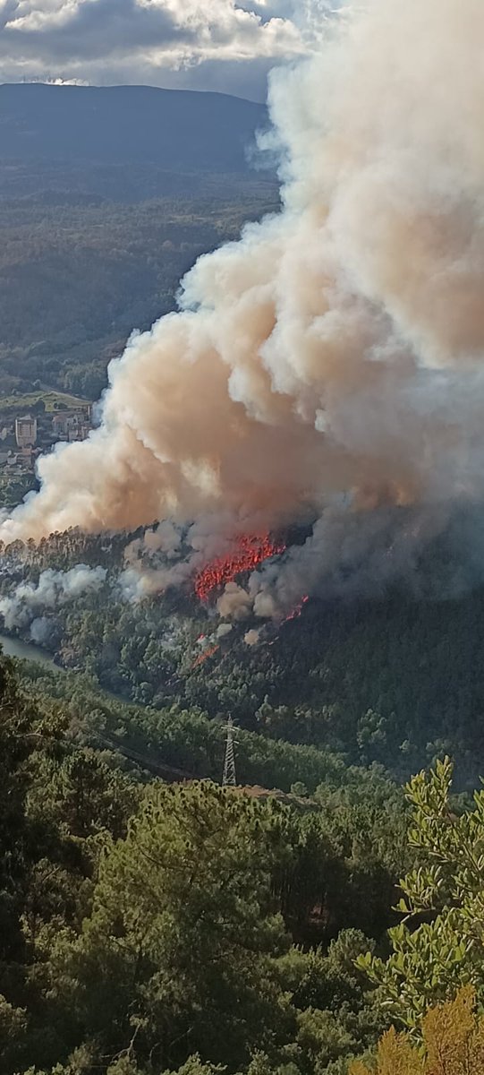 Incendiosgalic1's tweet photo. #IFRibadavia 19:40 https://t.co/SzVgzqETRM