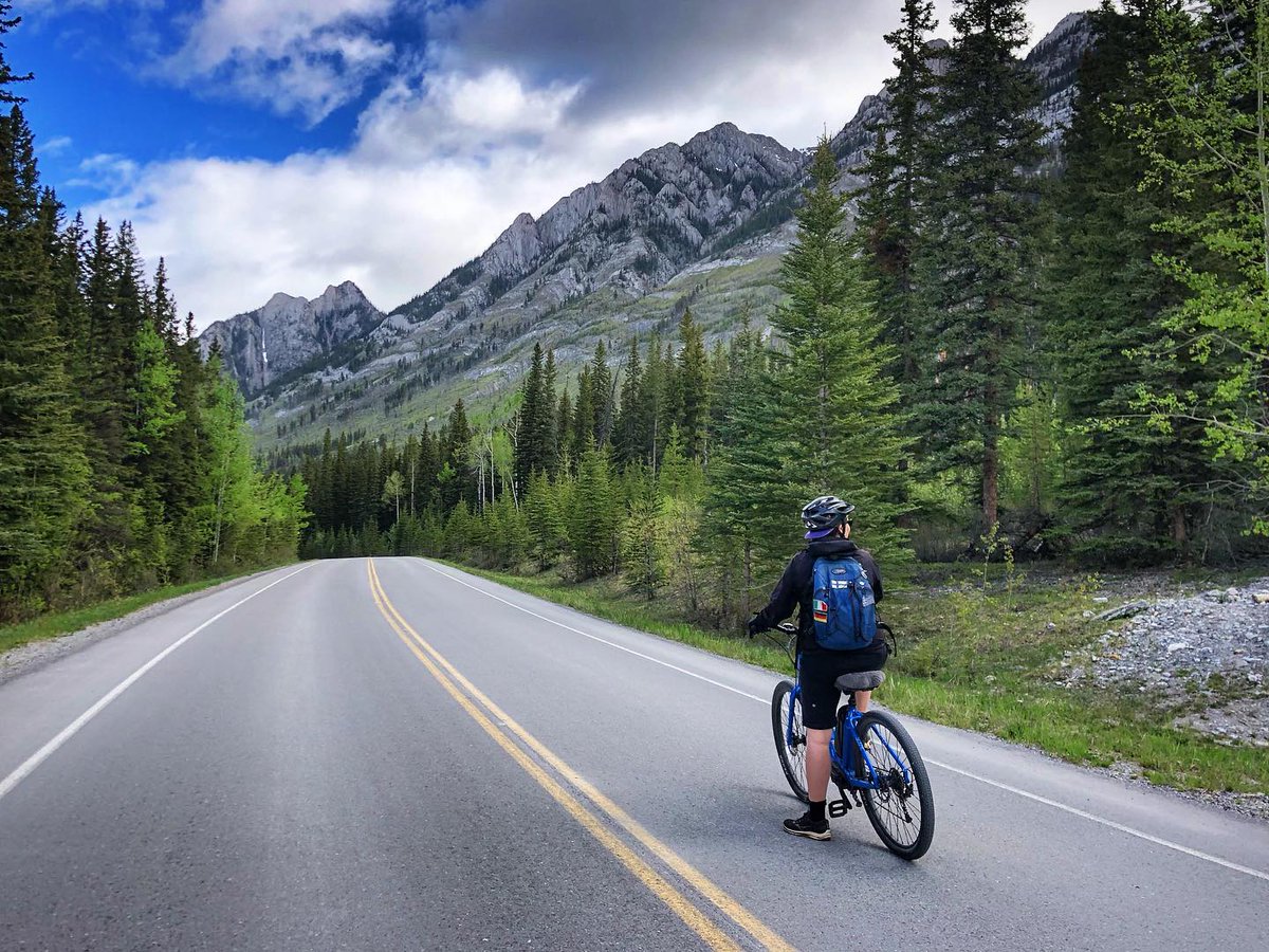 banfflakelouise's tweet photo. To celebrate the Bow Valley Parkway cycling experience returning, this week's #MyBanff spotlight are the sights you'll see:

1: Morant's Curve
2: Johnston Canyon 
3: Castle Mountain
4: Wildlife spotting!

📸: @rockymountaineer, karenmis27, @WynneLockhart, viewfromthewindowseat https://t.co/tV1bF8dyC3