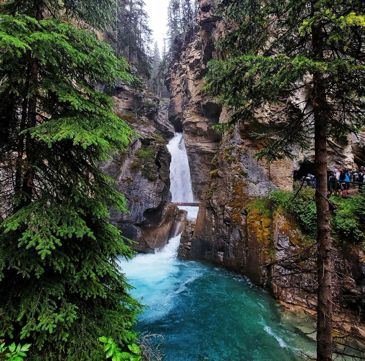 banfflakelouise's tweet photo. To celebrate the Bow Valley Parkway cycling experience returning, this week's #MyBanff spotlight are the sights you'll see:

1: Morant's Curve
2: Johnston Canyon 
3: Castle Mountain
4: Wildlife spotting!

📸: @rockymountaineer, karenmis27, @WynneLockhart, viewfromthewindowseat https://t.co/tV1bF8dyC3