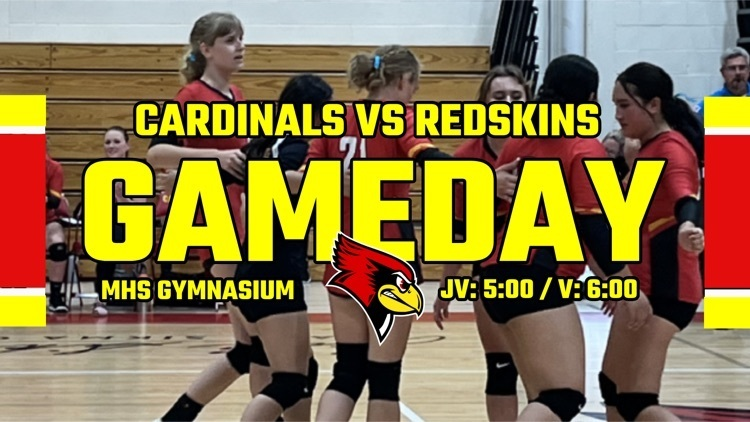 SACHS302's tweet photo. The Cardinals volleyball team travels to Momence to take on the Redskins! Good luck lady cards! #STACards https://t.co/fN3Ye0T0br